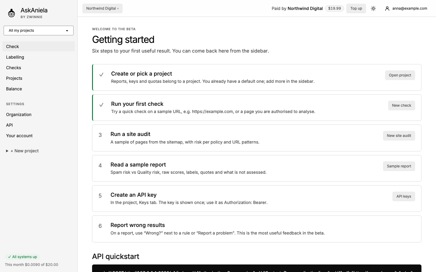 Getting started with six steps: project, first check, site audit, sample report, API key, wrong results